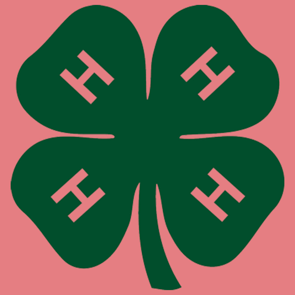 Join 4-H image