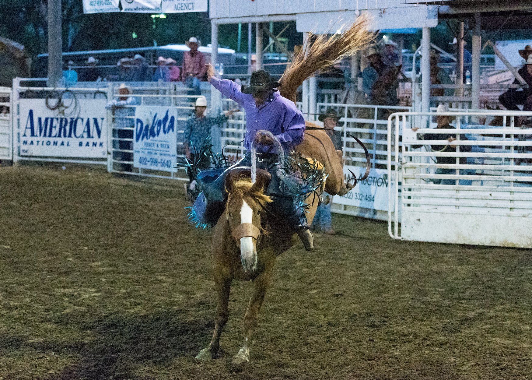 Home Sarpy County Fair