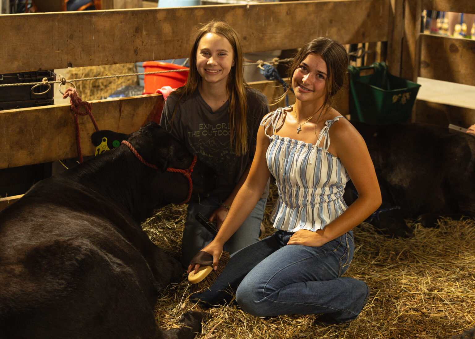 2025 Sarpy County Rodeo
